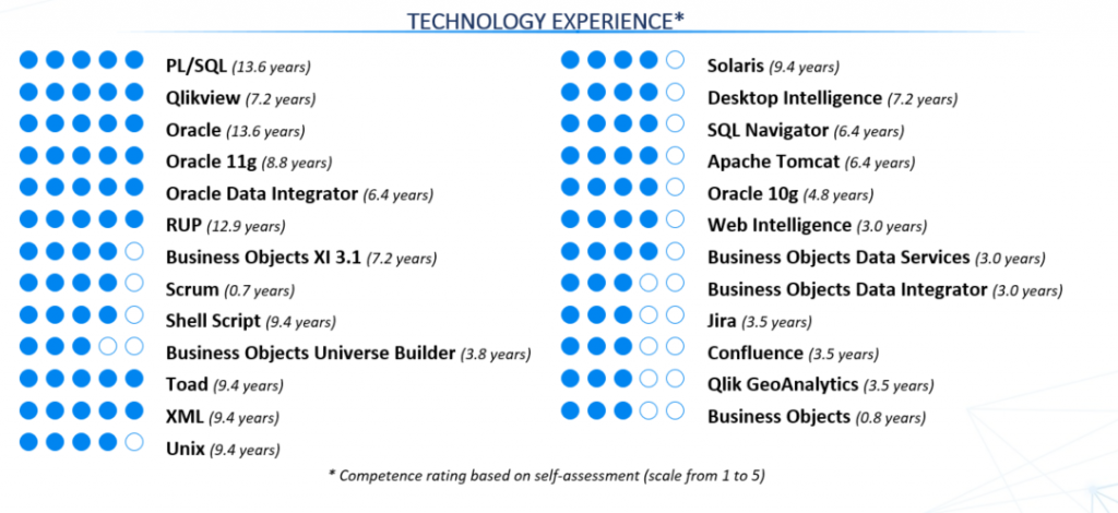 Automated technology experience report generated by sprintcv